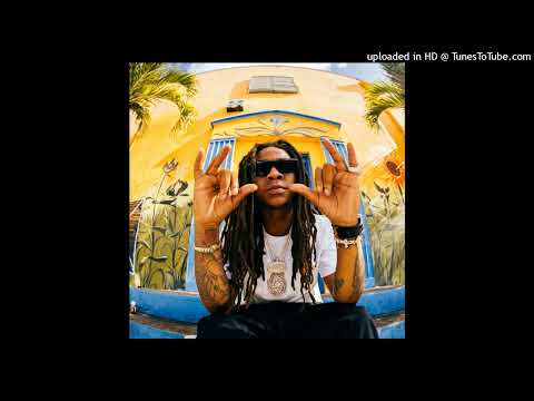 [FREE] Hurricane Wisdom Sample Type Beat "Gave You Everything"