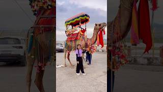 Mehmaan 💫|DeepikaSharma#trendingnow #love #viralvideo #song #dance #rajasthan #marwadi