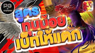 สล็อต PG : Rooster Rumble ทุนน้อย สูตรเบ็ทแตก จารย์ PG x stepspin