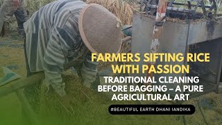 Farmers Sifting Rice with Passion: Traditional Cleaning Before Bagging – A Pure Agricultural Art
