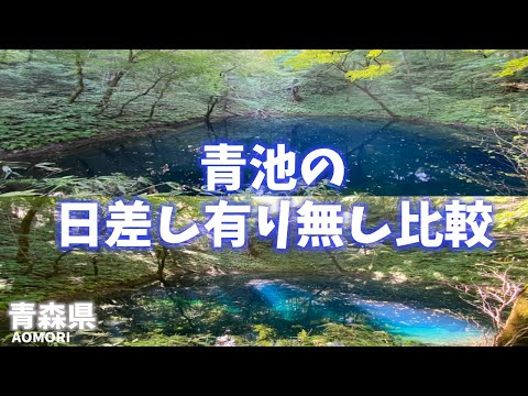 【青森県観光】コバルトブルーに輝く青池の日差し有り無しを比較！日差しでこんなに違うとは！訪れる時間帯が大事！[Aomori Prefecture Tourism] Shining Aoike