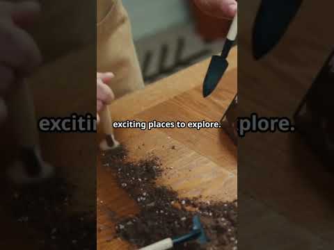 "DIY Jungle Habitat for Your Reptile in 60 Seconds!"