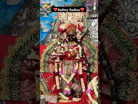 श्री राधावल्लभ लाल जी के मनमोहक दर्शन #trending #radhavallabh #bankebihari #vrindavan #shorts