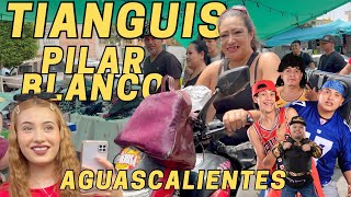 WHAT YOU DIDN'T KNOW ABOUT THE PILAR BLANCO MARKET IN AGUASCALIENTES.