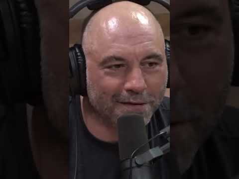 Joe Rogan: Fear Factor Stunt Gone Wrong