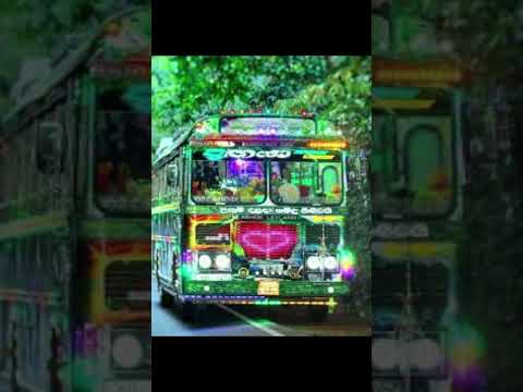 Pt 2 |එක වගේ නම් තියෙන බස්❤💖  #automobile #bus #srilanka #buses #dj #dhamrajini #love #koombiyo #gpl