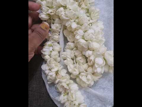 #India to qatar # mallipu shopping # jasmine flower# short