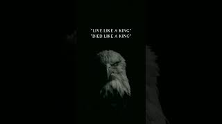 live like a king and died like a king #trending #motivation #kingking #kingmoney #king #viralshorts