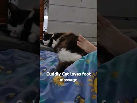 Foot massage