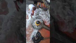 #gangeshwar #gangeshwarmahadev #mahadev_k_bhaktt #diu #diutourism #harharmahadev #somnath  #vlog