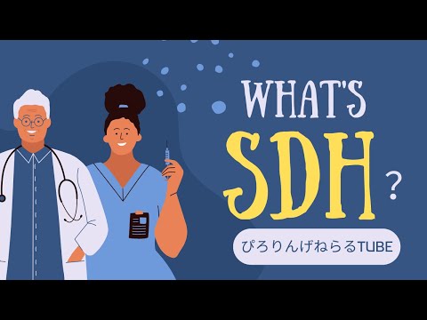 [One compact slide] A super easy-to-understand summary of social determinants of health (SDH)