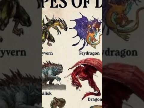 TYPES OF DRAGONS|COATYL|PART 1|#shorts @MrBeast