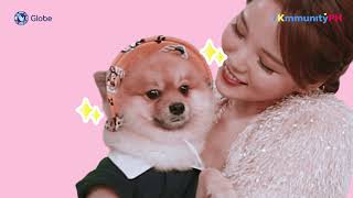 Dance It Your Way with Your Pets | K-Moves E07