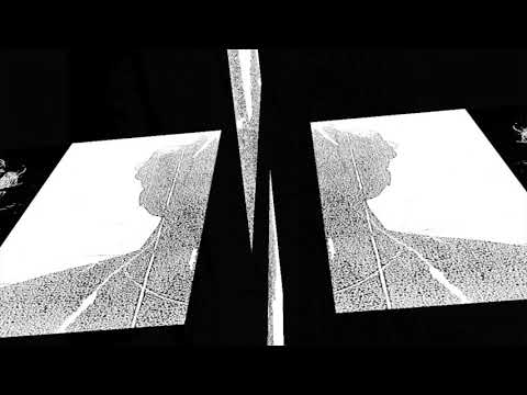 The Soft Moon - The Pain (The Horrorist Remix)