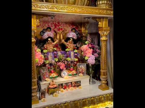 Harinam Sankirtan by HH Nav Yogendra Swami 🙇#kirtanyoga#harinamsankirtan#haribol#harenaam#video