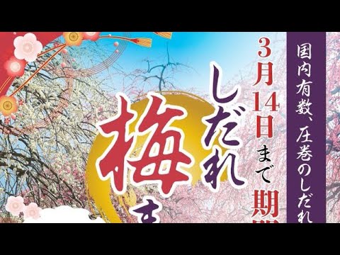 名古屋市農業センターdelaファーム