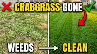 The Easiest & Cheapest Method to Stop Crabgrass Before It Sprouts
