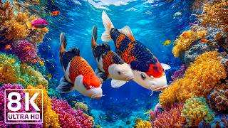Amazing Underwater World 8K ULTRA HD – Beautiful Sea Animals & Tropical Fish Adventure