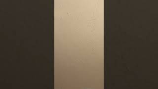 Balloon episode #6154