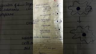 #class10sciencencert  #amoeba #boardexam2025 #class10sciencequestions #class10sciencemodelpaper