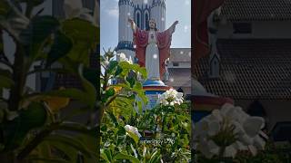 Thank you Lord✝️🌸#music #worshipsong #live #shorts #mylord #catholic #church #favorite #piano #love