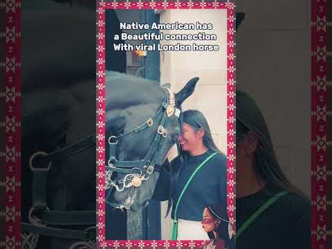 Native American has a Beautiful connection With viral London horse #indigenous #nativeamerican