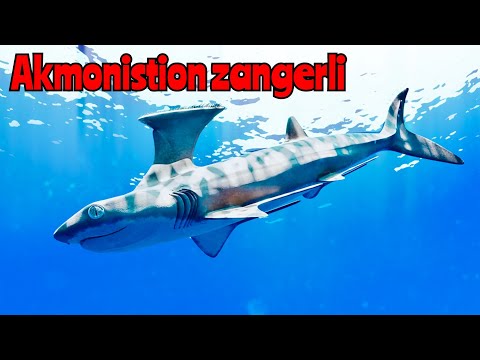 Todo sobre Akmonistion zangerli