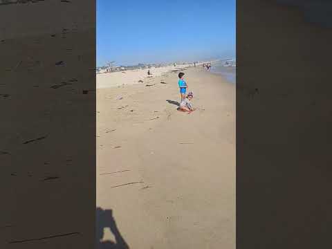 la playa el tabo