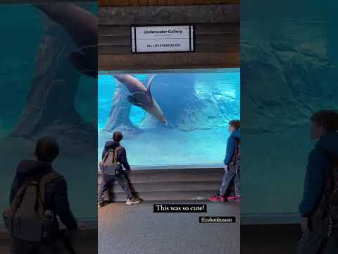 Adventure Cove at Columbus Zoo and Aquarium