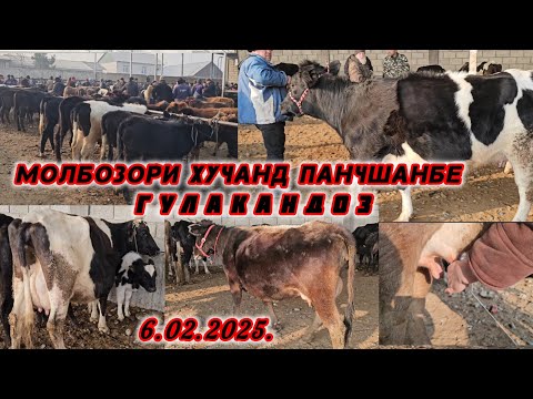 МОЛБОЗОРИ ГУЛАКАНДОЗ ПАШАНБЕ МОЛХО И фуруширо Номер Телефонашро Гирефтем ОЧА БАЧА ЭЛИТА БУГУЗИ НАЗДИ