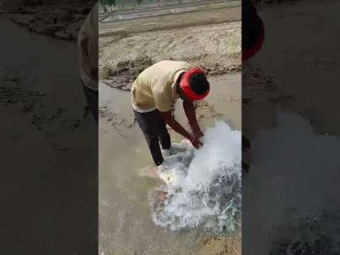 khatola 2 Masoom Sharma#shortsviral #YouTube short video#explore #shorts#trending #shortsvideo #love