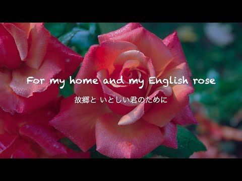 English Rose - Ed Sheeran [和訳]