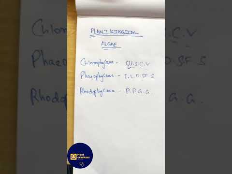 Neet trick no8#shorts #neet2023 #biology #biologystrategy #biologysimplifiedtamil