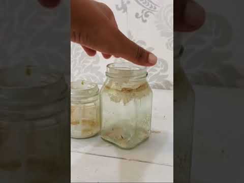 Bottle art||Indoor plants||Diy home decor ||old bottle makeover