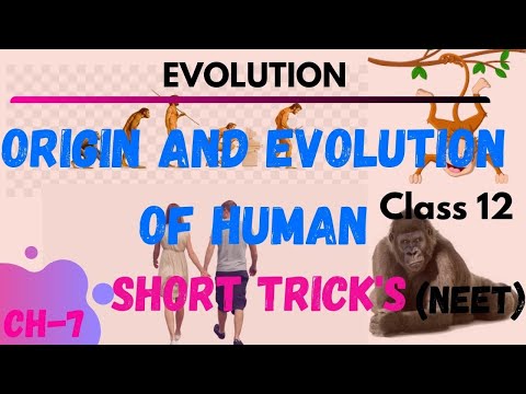 Origin and evolution ho human | EVOLUTION | NEET SHORT TRICK'S | NEETTRICK | BIOLOGYNEETTRICKCLASS12