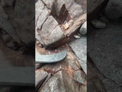 PART - 3 🎥 MORE NUGGETS ⭐️