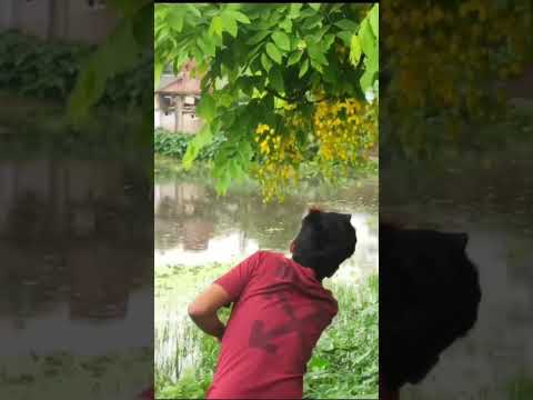 Wait for the result #videography #short #shortvideo