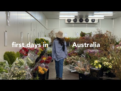 Starting Life in Australia 🇦🇺 | settling in, exploring Perth, hosting our housewarming dinner