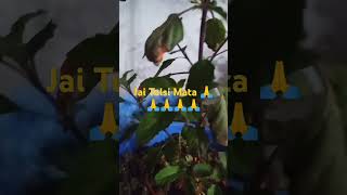 #kartikmaskikahani #kartikmaahkikahani #story #kartikkikahani 🙏🙏🙏🙏🌺🌺🌺🌺🙏🙏🙏🙏