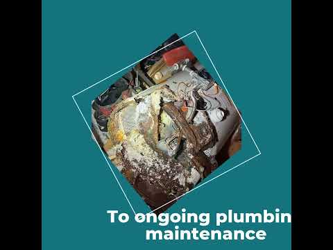 Joe the Plumber