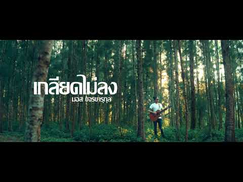 เกลียดไม่ลง -  มอส ขจรจารุกุล  [ COVER VERSION ] ต้นฉบับ ฝน พรสุดา