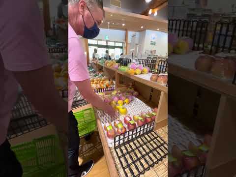 Hotel Wellies 軽井沢 ナレーション 食レポ ボイス