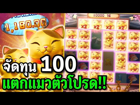 สล็อตPG : Lucky Neko สล็อตแมวทอง จัดทุนน้อย100 สล็อตทุนน้อย !!