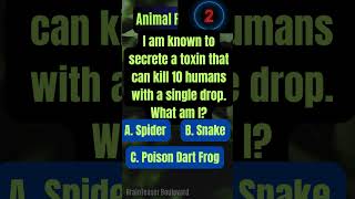 Animal Riddle Series No. 2  #brainteasers #brainteasing #logicgames