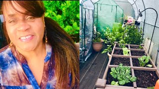 Poly-Greenhouse Double Freeze Protection/Raised Bed Update! #healthylifefarm