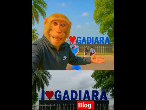 Gadiara blog #shorts #gadiara #shortblog #shortsfeed #shortsyoutube #mankey