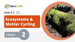 Unit 5.1 Lesson 2 Planning Video | OpenSciEd On-Demand Resources