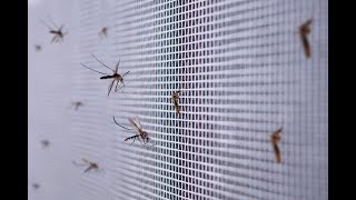 Bug Proof Your Home or Apartment
