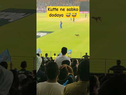 Kutte ne pure stadium 🏟️ me sabko dodaya 😅😅 #ipl2024 #ipl #2024 #lol #moments