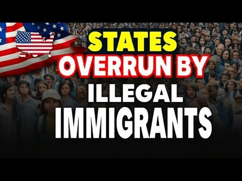 Top 10 States with the Highest Number of Illegal Immigrants in the United States (Eye-Opening Data)